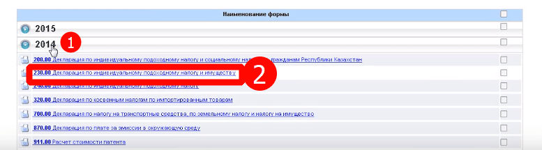 Выбор периода декларации по индивидуальному подоходному налогу и имуществу салык