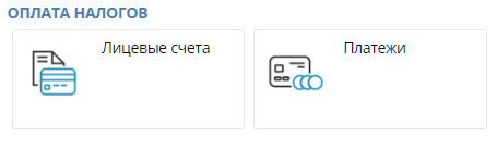 Оплата налогов в личном кабинете налогоплательщика РК